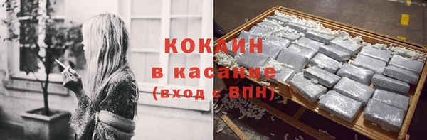 сатива Абинск