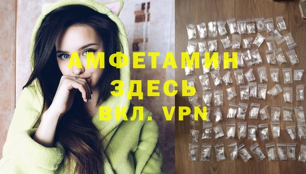 сатива Абинск
