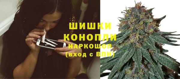 сатива Абинск